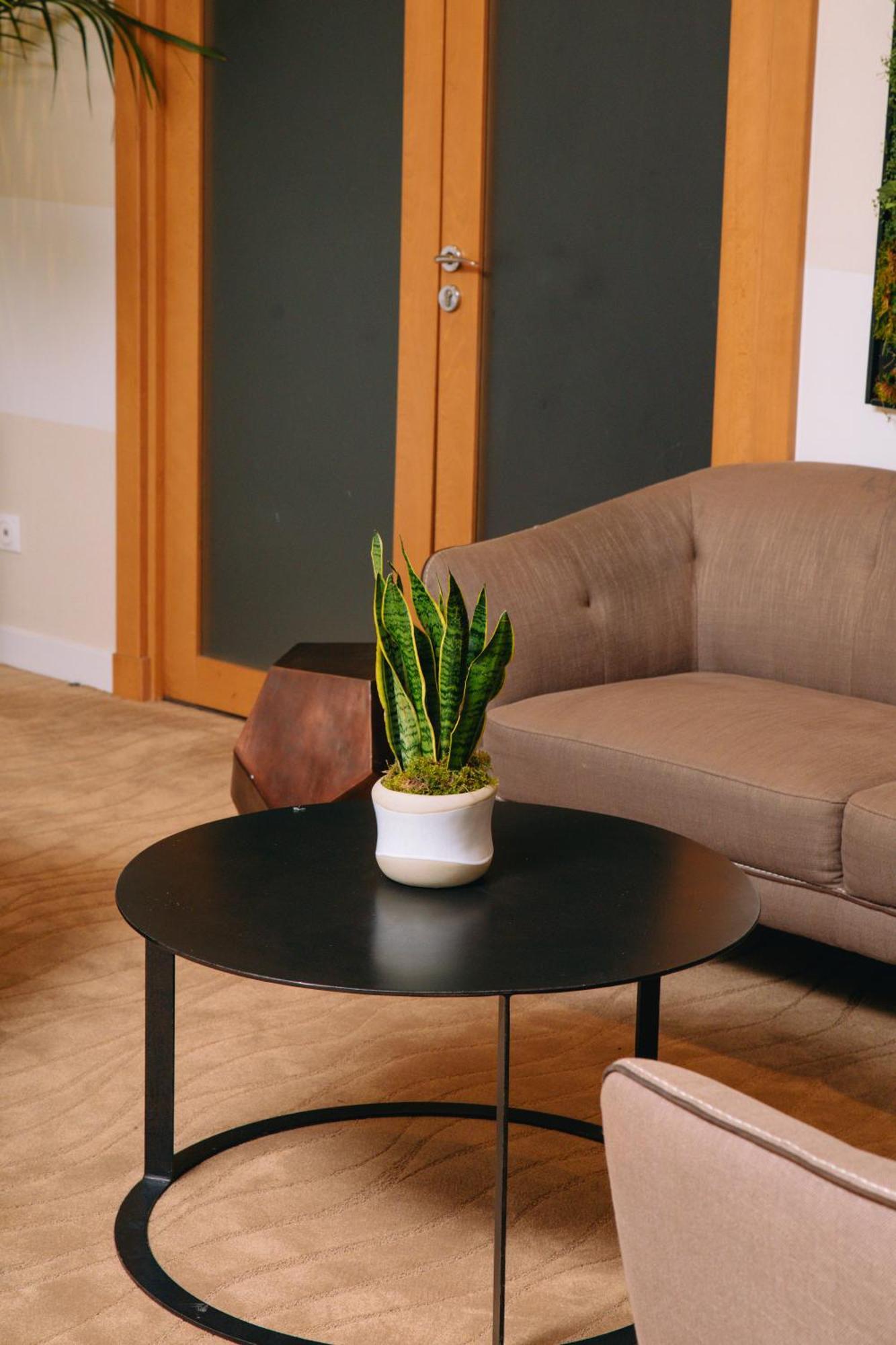 Fraser Suites Paris La Defense Курбевуа Екстер'єр фото Sansevieria trifasciata